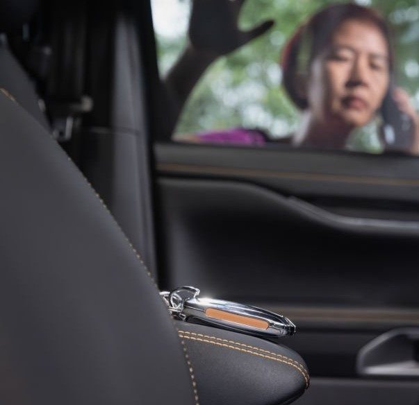 Locked out of a car
